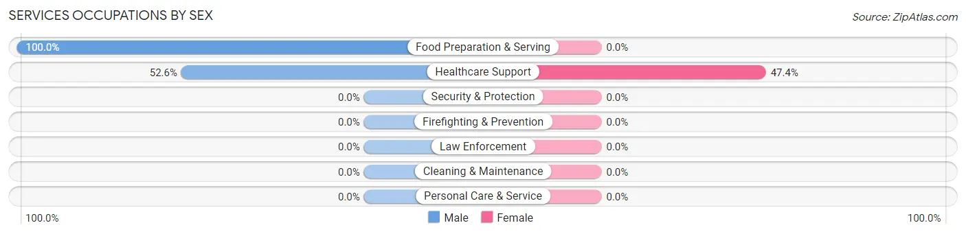 Services Occupations by Sex in Zip Code 13804