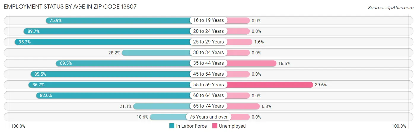 Employment Status by Age in Zip Code 13807