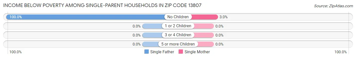 Income Below Poverty Among Single-Parent Households in Zip Code 13807
