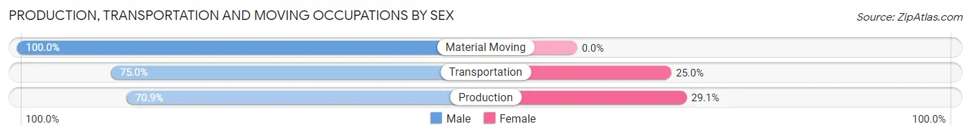 Production, Transportation and Moving Occupations by Sex in Zip Code 13808