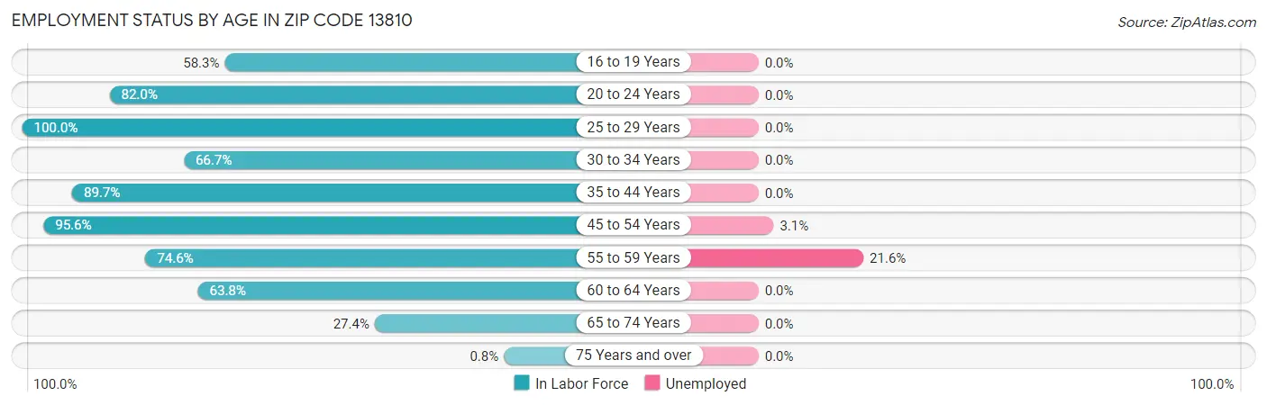 Employment Status by Age in Zip Code 13810