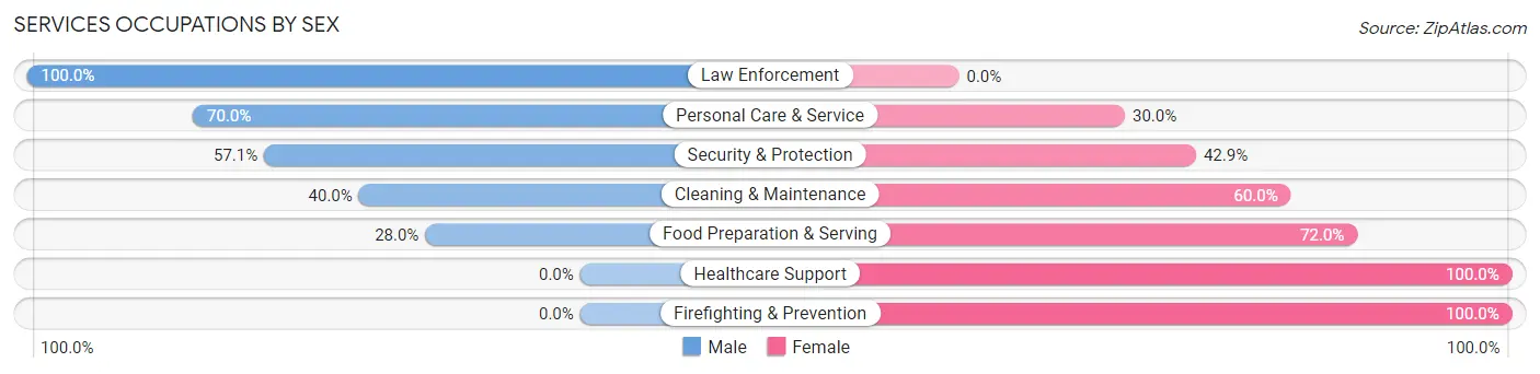 Services Occupations by Sex in Zip Code 13810
