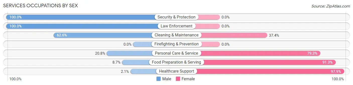 Services Occupations by Sex in Zip Code 13811