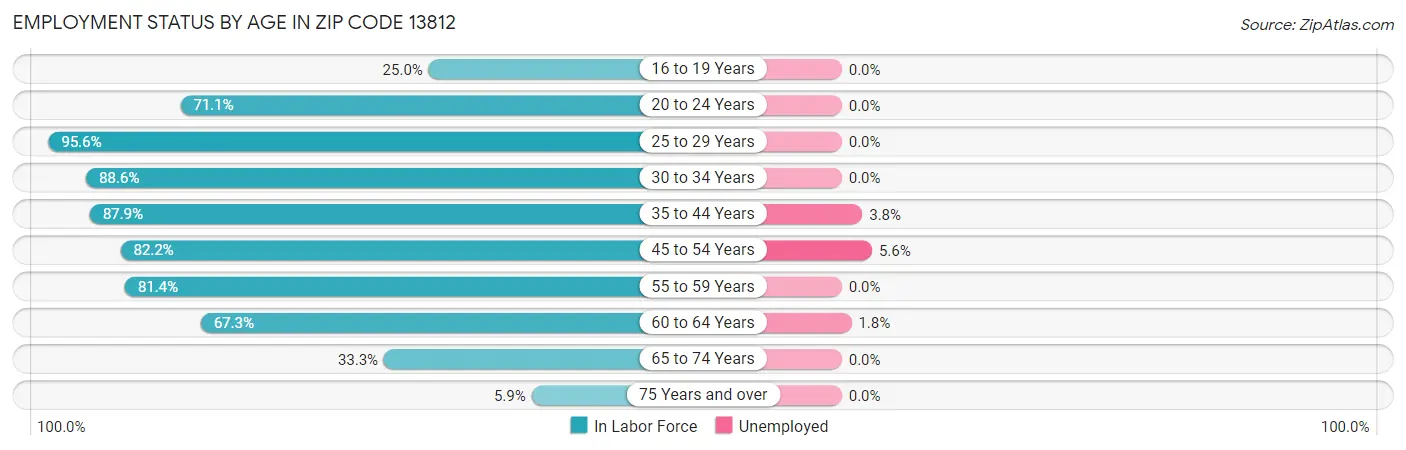 Employment Status by Age in Zip Code 13812