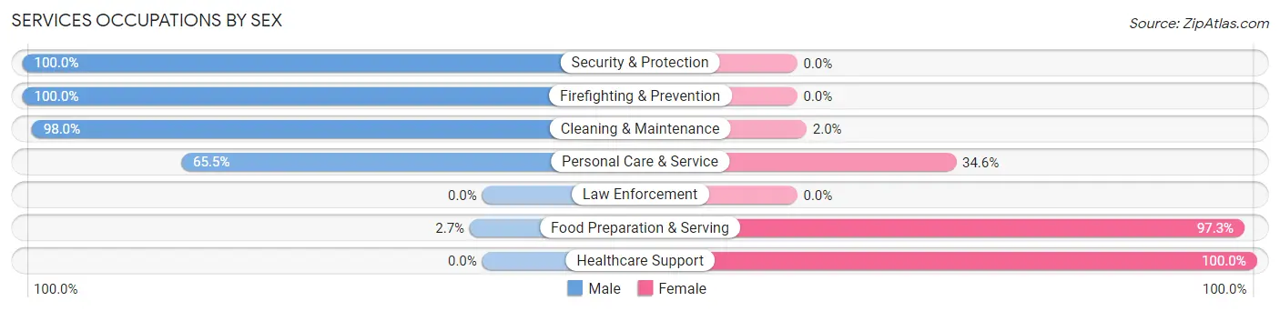Services Occupations by Sex in Zip Code 13812