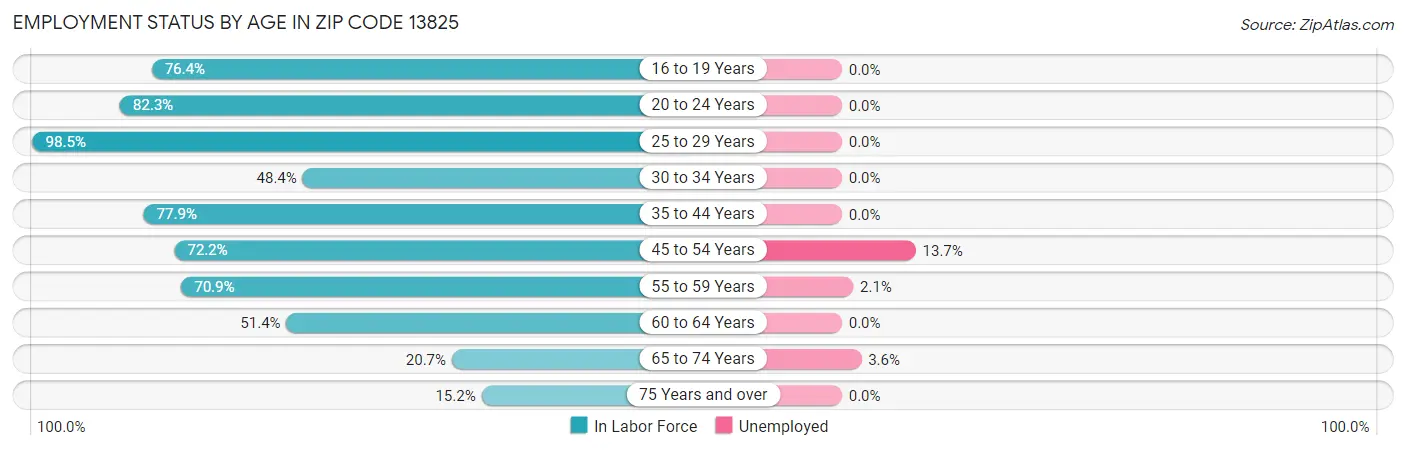 Employment Status by Age in Zip Code 13825