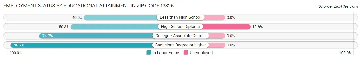 Employment Status by Educational Attainment in Zip Code 13825