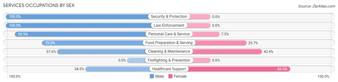 Services Occupations by Sex in Zip Code 13825