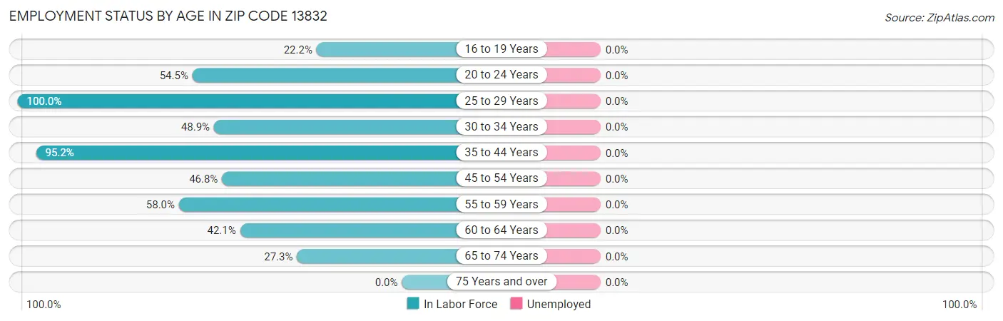Employment Status by Age in Zip Code 13832