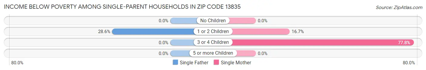 Income Below Poverty Among Single-Parent Households in Zip Code 13835