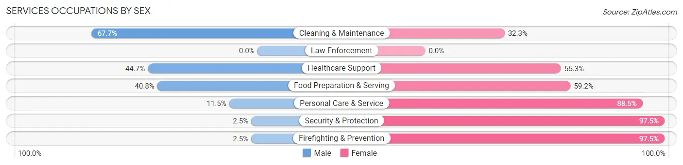Services Occupations by Sex in Zip Code 13838