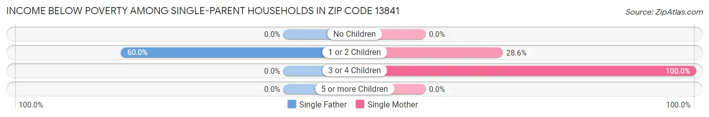 Income Below Poverty Among Single-Parent Households in Zip Code 13841