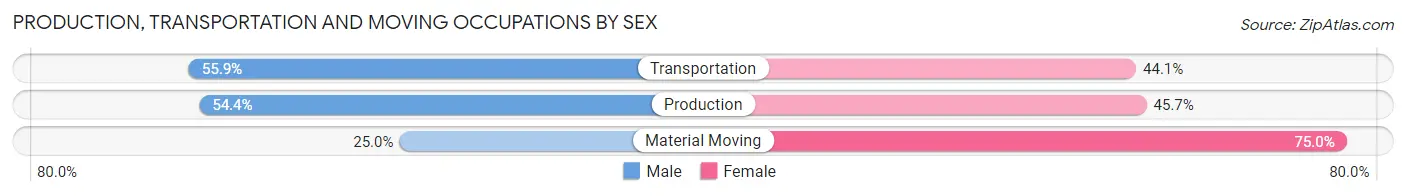 Production, Transportation and Moving Occupations by Sex in Zip Code 13841