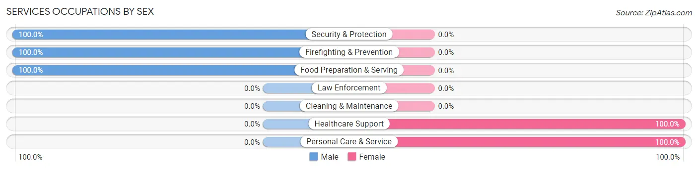 Services Occupations by Sex in Zip Code 13841