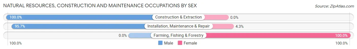 Natural Resources, Construction and Maintenance Occupations by Sex in Zip Code 13850