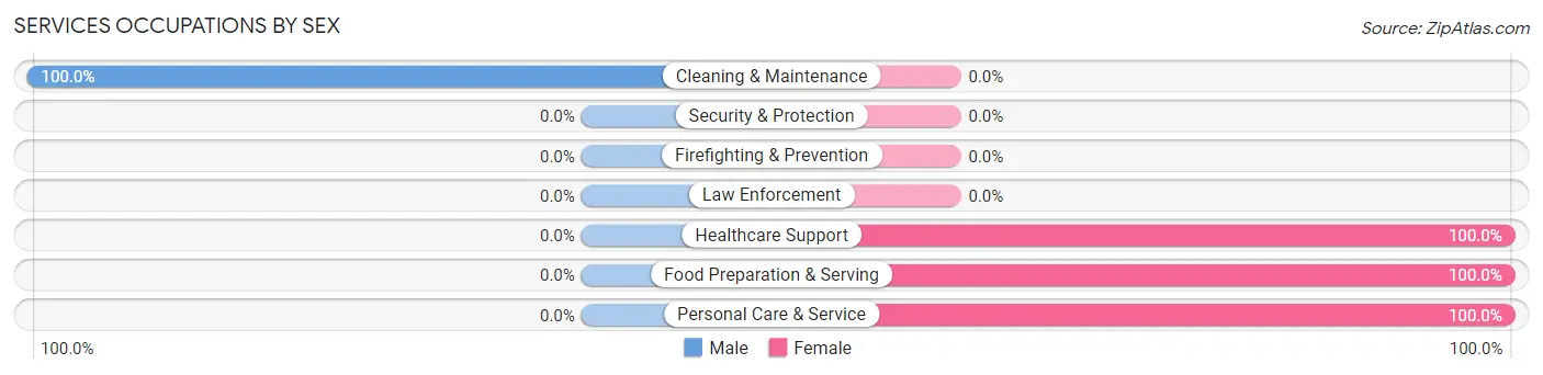 Services Occupations by Sex in Zip Code 13861