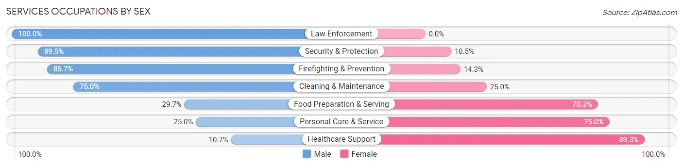 Services Occupations by Sex in Zip Code 13862