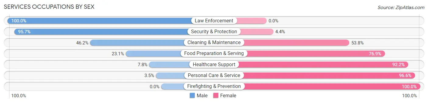 Services Occupations by Sex in Zip Code 13865