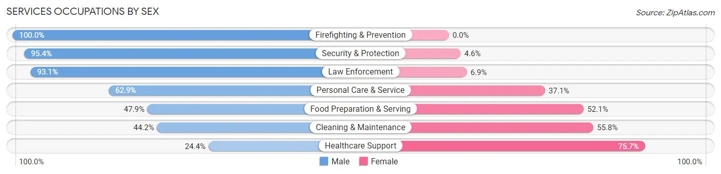 Services Occupations by Sex in Zip Code 13903