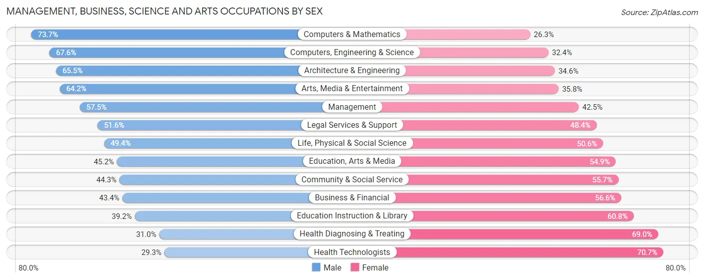 Management, Business, Science and Arts Occupations by Sex in Zip Code 13905