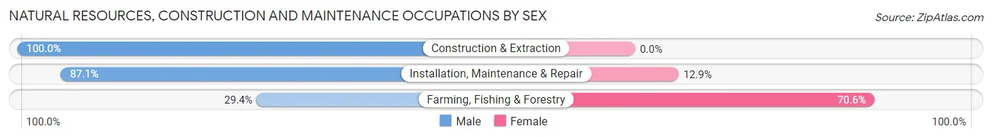 Natural Resources, Construction and Maintenance Occupations by Sex in Zip Code 13905