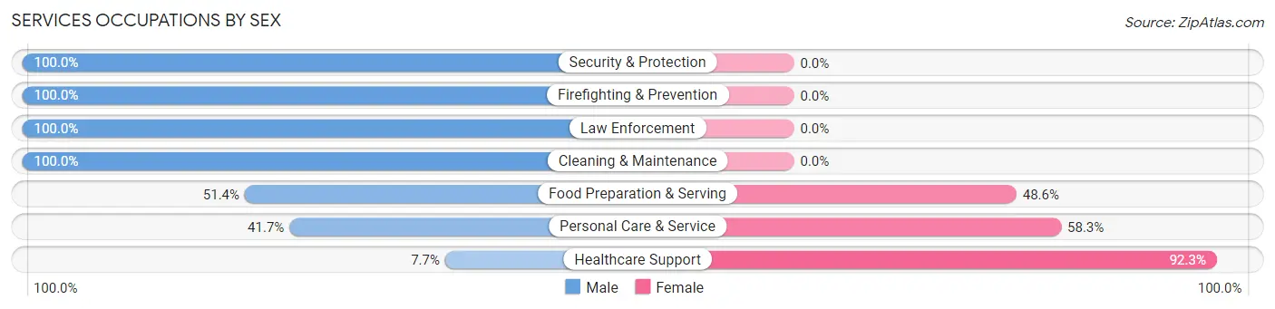 Services Occupations by Sex in Zip Code 14024