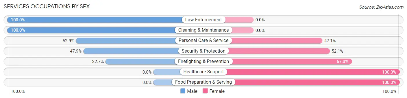 Services Occupations by Sex in Zip Code 14025