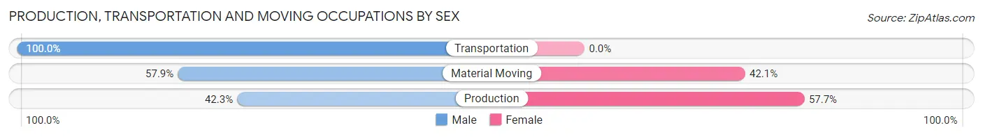 Production, Transportation and Moving Occupations by Sex in Zip Code 14028