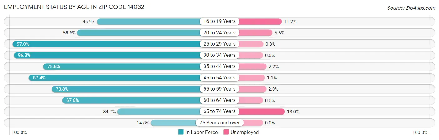Employment Status by Age in Zip Code 14032