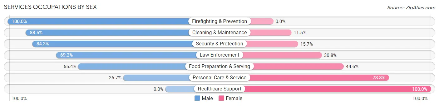 Services Occupations by Sex in Zip Code 14032