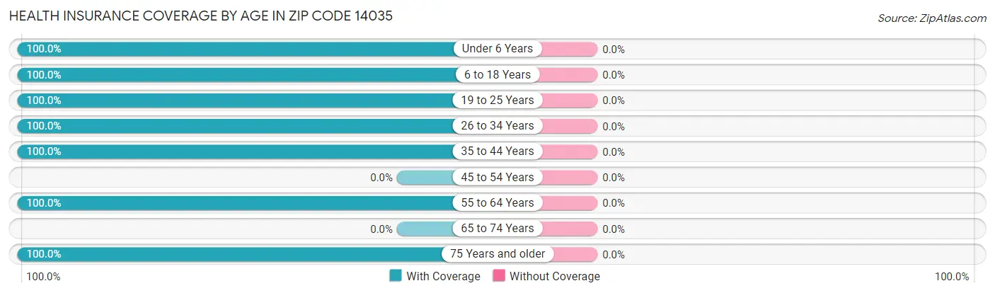 Health Insurance Coverage by Age in Zip Code 14035