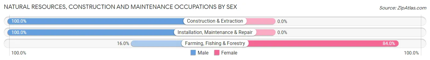 Natural Resources, Construction and Maintenance Occupations by Sex in Zip Code 14036