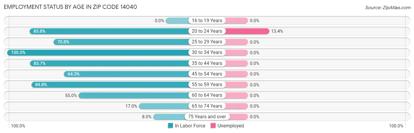 Employment Status by Age in Zip Code 14040