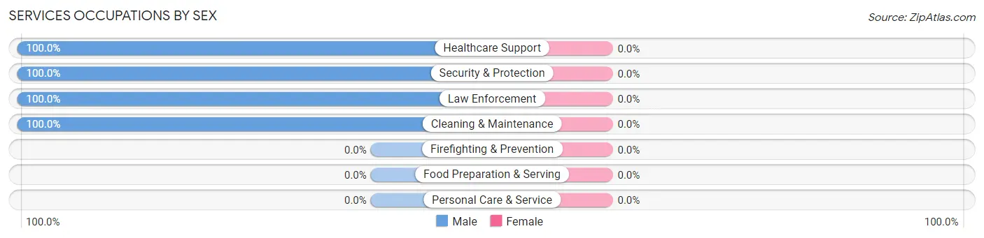 Services Occupations by Sex in Zip Code 14041