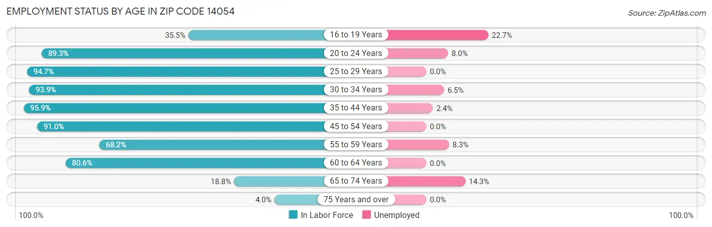 Employment Status by Age in Zip Code 14054