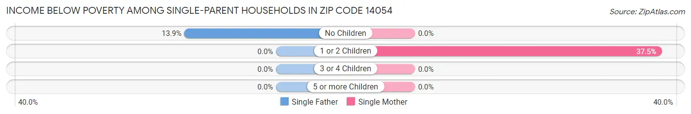 Income Below Poverty Among Single-Parent Households in Zip Code 14054