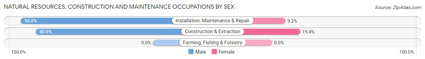 Natural Resources, Construction and Maintenance Occupations by Sex in Zip Code 14059