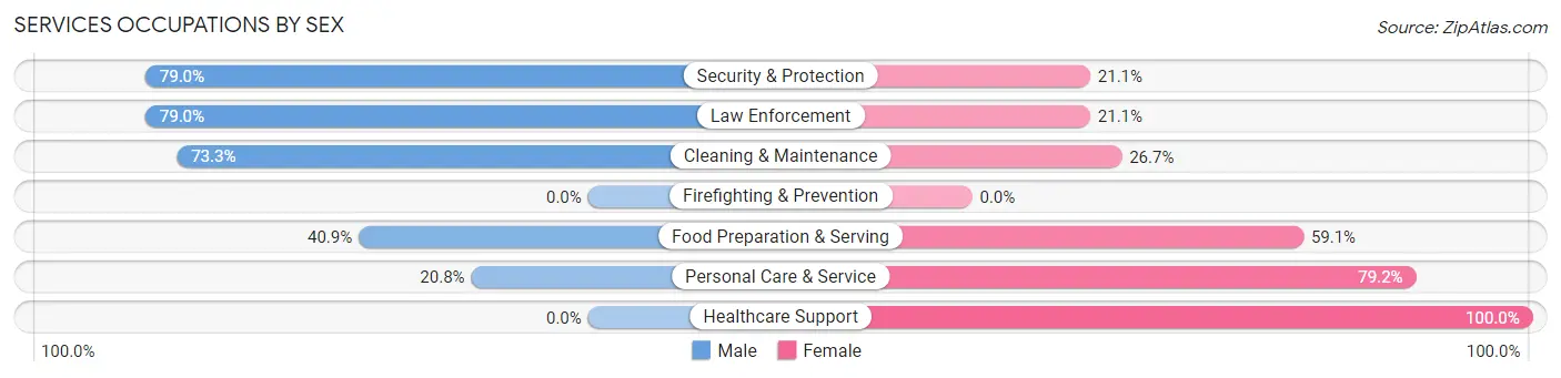Services Occupations by Sex in Zip Code 14062
