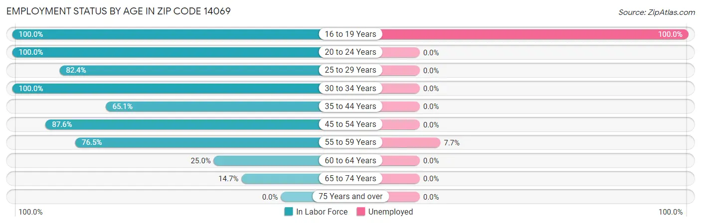 Employment Status by Age in Zip Code 14069
