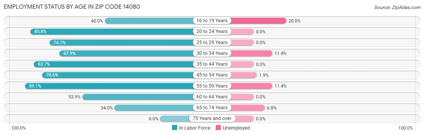 Employment Status by Age in Zip Code 14080