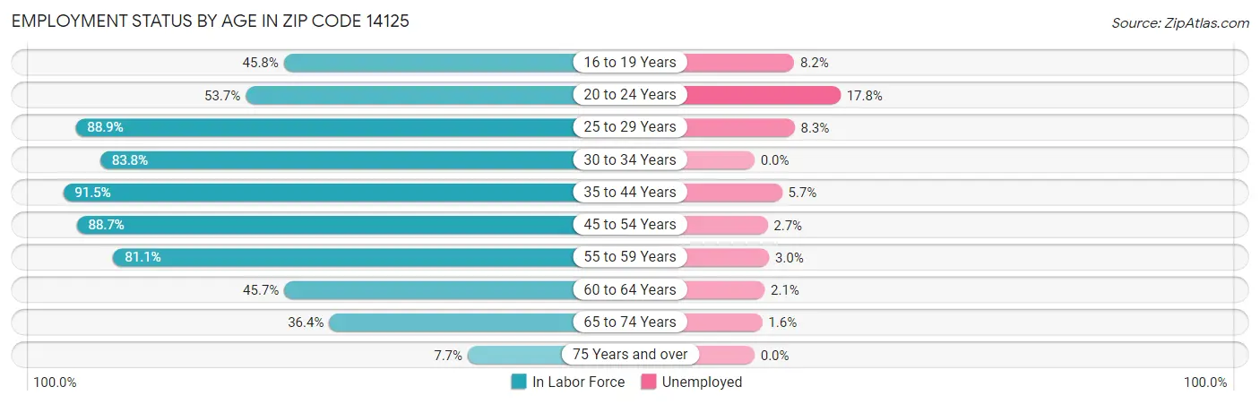Employment Status by Age in Zip Code 14125