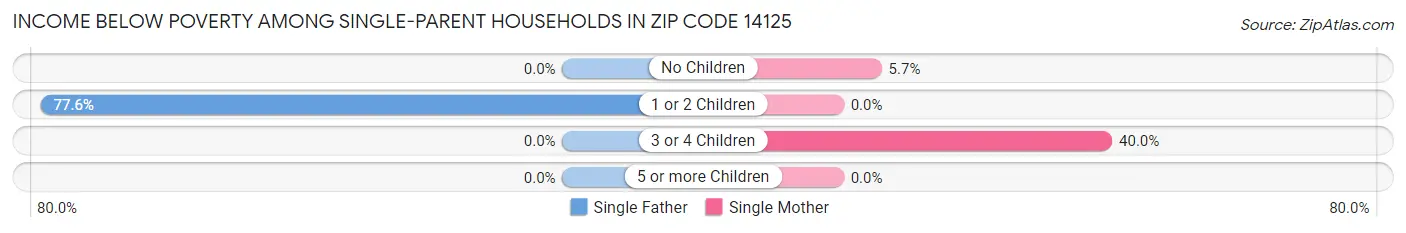Income Below Poverty Among Single-Parent Households in Zip Code 14125