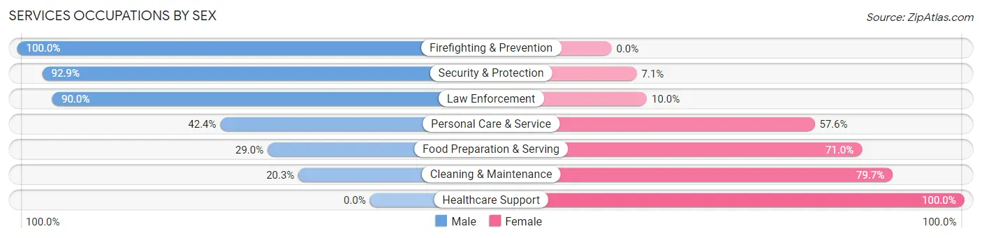 Services Occupations by Sex in Zip Code 14125