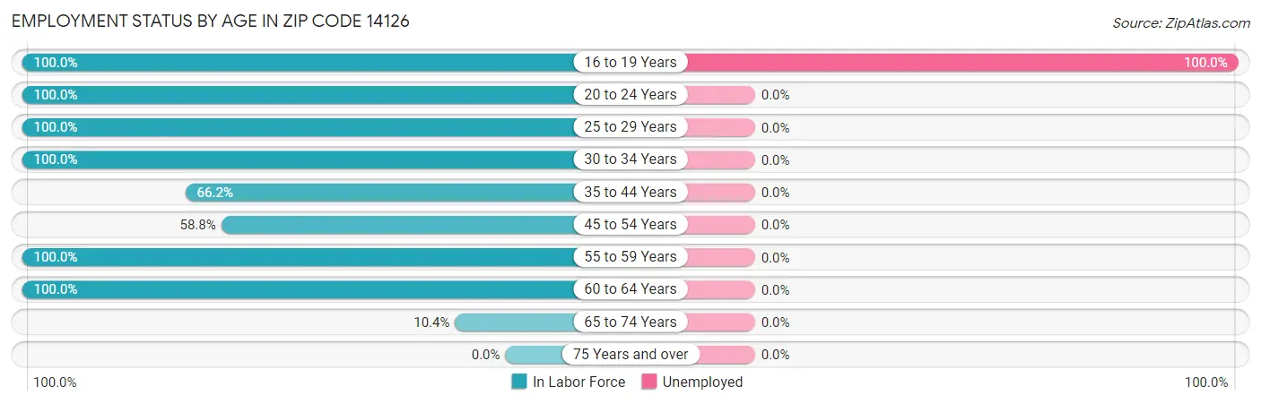 Employment Status by Age in Zip Code 14126