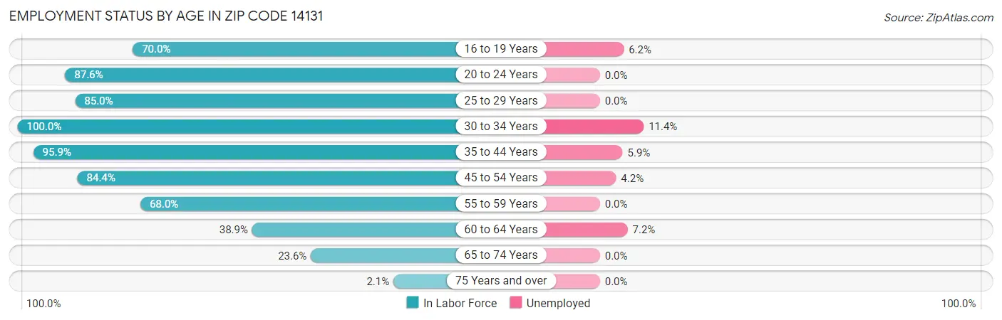 Employment Status by Age in Zip Code 14131
