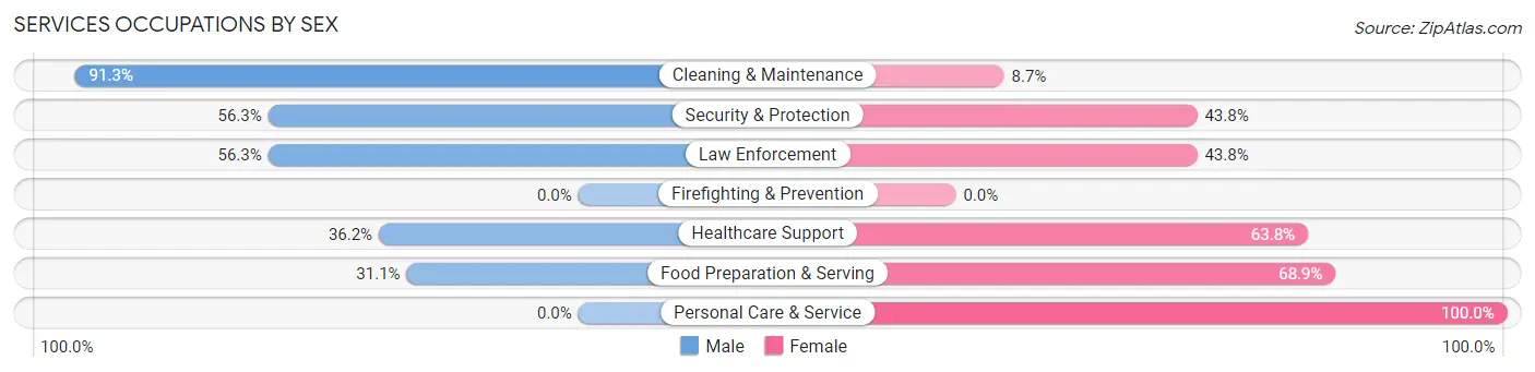 Services Occupations by Sex in Zip Code 14131