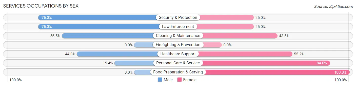 Services Occupations by Sex in Zip Code 14138