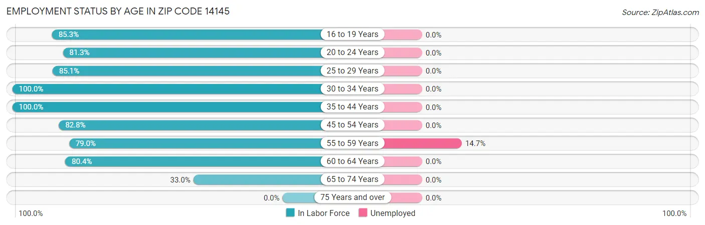 Employment Status by Age in Zip Code 14145