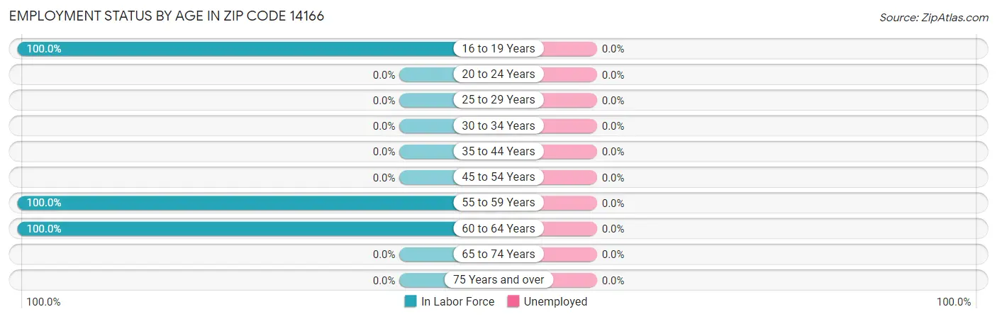 Employment Status by Age in Zip Code 14166