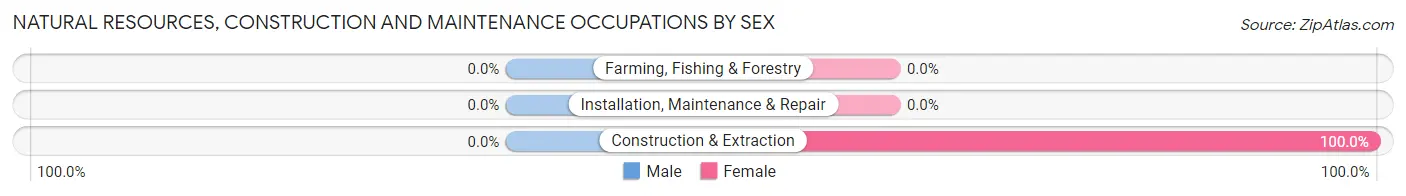 Natural Resources, Construction and Maintenance Occupations by Sex in Zip Code 14166